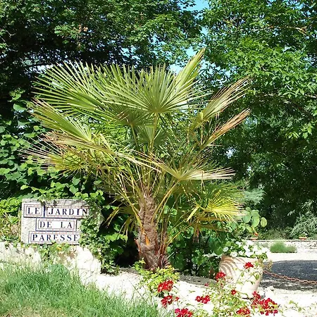 ベッド・アンド・ブレックファスト Le Jardin De La Paresse トゥールーズ